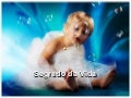 Segredo Da Vida 