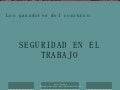 Seguridad En El Trabajo