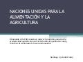 Seguridad alimentaria 