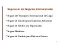 U7 - SEGUROS INTERNACIONALES