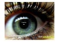 Peeping Fan: Das Ende der Sprache im Social Web