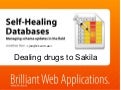 Self-healing databases: managing schema updates in the field