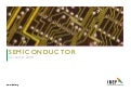 Indian Semiconductors Industry Presentation 060109