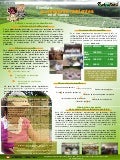 Poster38: Semillas con mayores nutrientes en el campo