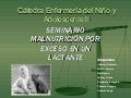 Seminario Grupo 8