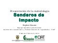Senderos de Impacto  CORPOICA- 2013