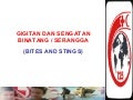 sengatan