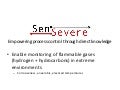 Sen severe lecture 2 bus model canvas
