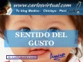 Sentido del gusto