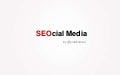 SEOcial Media - Interrelaciones entre SEO y Social Media