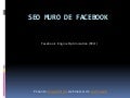 Seo muro facebook