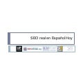Seo Real En EspañOl Hoy