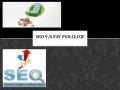 SEO vs Pay Per Click
