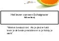 Het leven van een Schatgraver