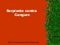 Serpiente vs canguro