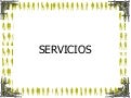 Servicios personal shopper