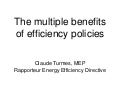 The Multiple Benefits of Efficiency Policies