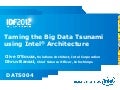 Taming the Big Data Tsunami using Intel Architecture