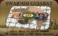Swarnim Gujarat - Social Media as Bridge between  CM (Common Man) & CM (Chief Minister)
