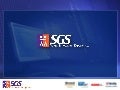 SGS Technologie IT Staffing