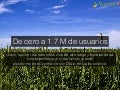 Grails, opción real y escalable para sitios web de alta carga