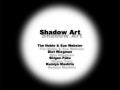 Shadow Art