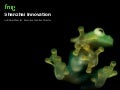 Shanzhai Innovation