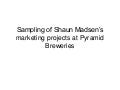 Sampling of Pyramid Marketing Projects