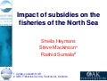 Impact Of Subsidies On The Fisheries Of The North Sea [Sheila Heymans]