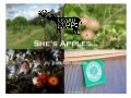 Shields Orchard - A Hawkesbury Harvest success story by Jonathan Shields
