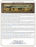 Shiloh Prairie - A feature article on a Shiloh Buffalo Rifle in Hand Carved Display