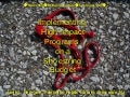 High Impact Programs on a Shoestring Budget