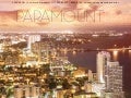 Porque Investir em Miami? - Corretor Saladyno (11) 8255-5058 E: saladyno.imoveis@gmail.com