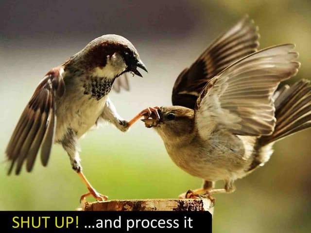 Shut up and process it-Granr-Merrie...