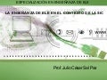 La Enseñanza de ELE en el contexto de la SIC