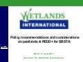 Policy recommendations and considerations on peatlands & REDD+ for SBSTA