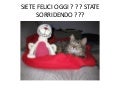 Siete felici oggi