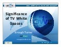 The Significance of TV White Spaces
