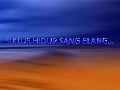 Siklus Hidup Sang Elang