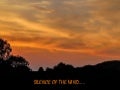 Silence of the Wind