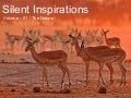 Silent Inspirations Vol 01
