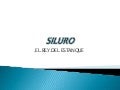 Pesca de Siluros