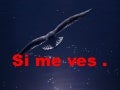 Simeves