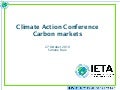 Simone Ruiz - Carbon markets