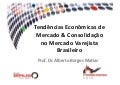 Apresentação do Prof Alberto Borges Matias 