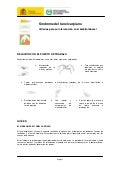 Sindrome tunel carpiano