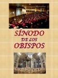 Sinodo informacion general (2012)