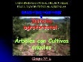 Sist Agroforestales Point