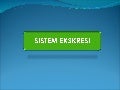 SISTEM EKSKRESI