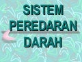 Sistem Peredaran Darah